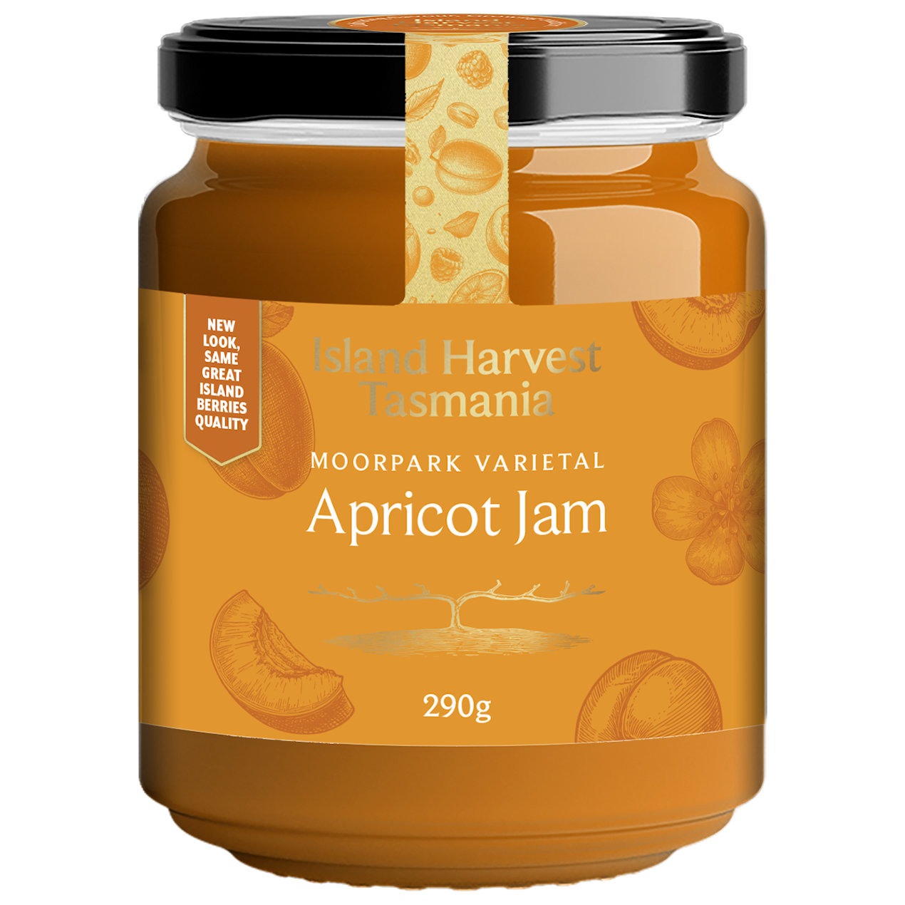Apricot Jam Apricot Jam