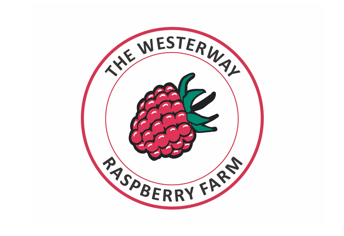 The Westerway Raspberry Farm The Westerway Raspberry Farm