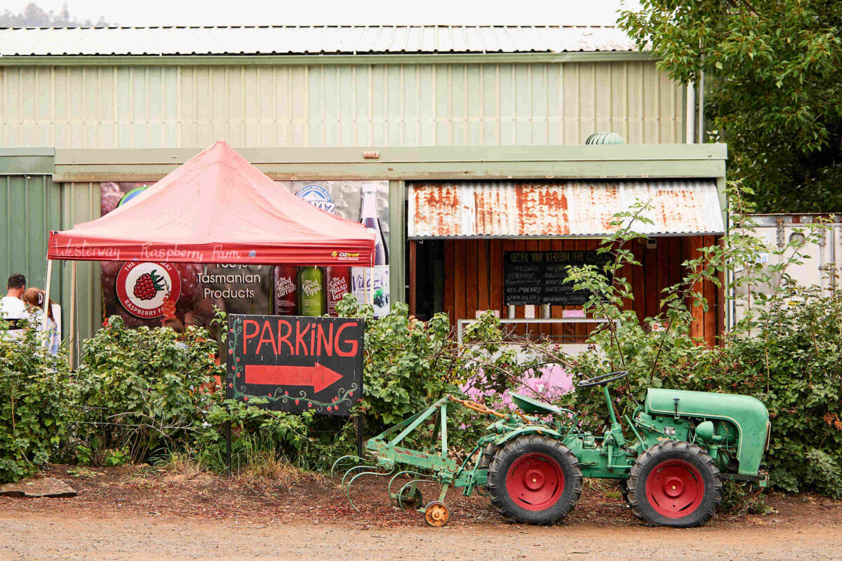 Westerway Raspberry Farm Westerway Raspberry Farm